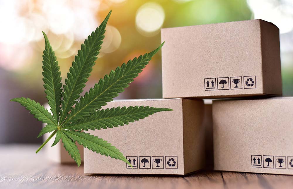 CBD boxes