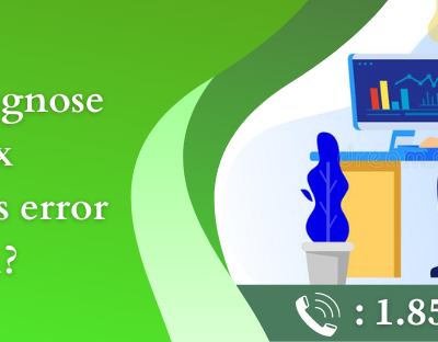 QuickBooks Error OL 301