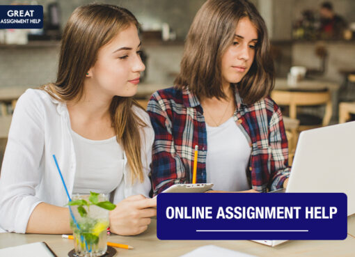 Assignment Help