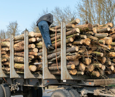 How to Safely Drive With a Load of Firewood