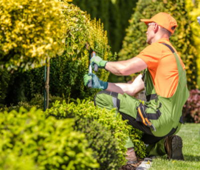 Landscaping Company in Toronto