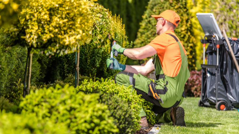 Landscaping Company in Toronto