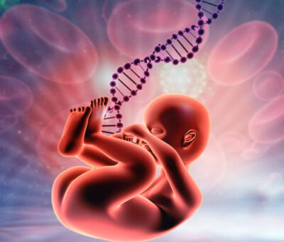 prenatal dna testing