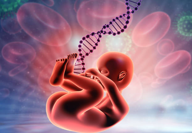 prenatal dna testing